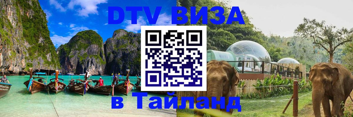 Оформление DTV визы под ключ: стоимость и тарифы, только загранпаспорт - Анкара  04.10.2025 